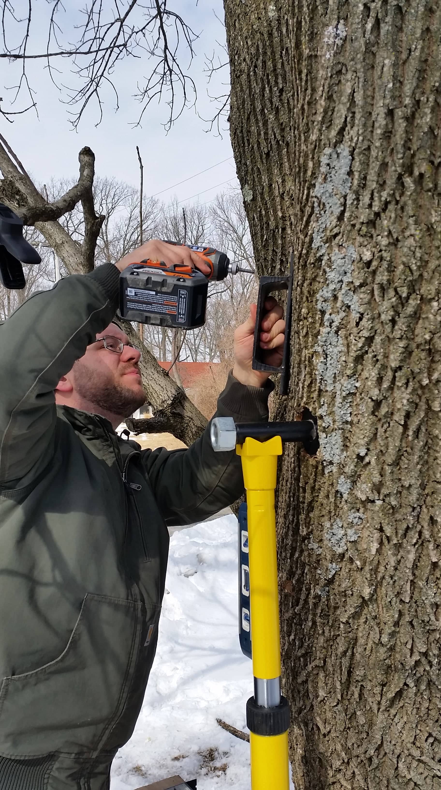 The Importance of Maintaining A Treehouse