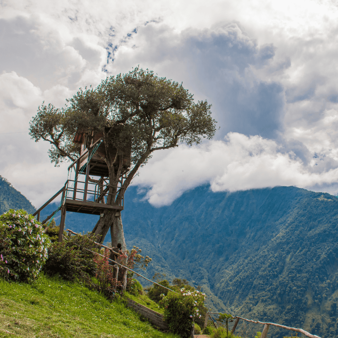 The History of Treehouses: From Necessity to Adventure Treehouse Supplies