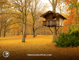 How Much Does a Treehouse Cost?