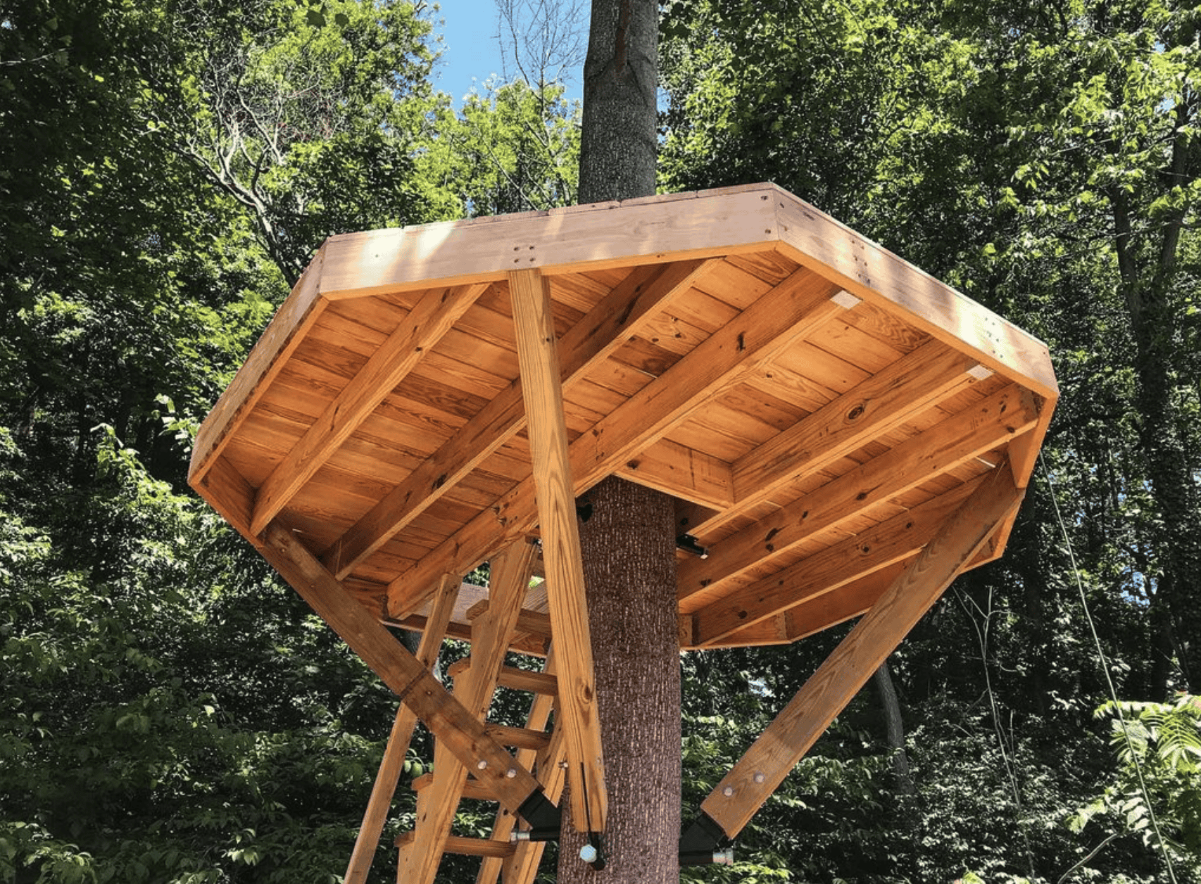 THE BLACK HILLS: 16' Octagon Treehouse Kit